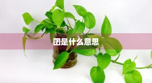 囝是什么意思