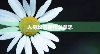 ​人身攻击是什么意思