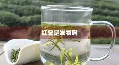 ​红薯是发物吗(红薯是发物吗?哪些人不能吃)