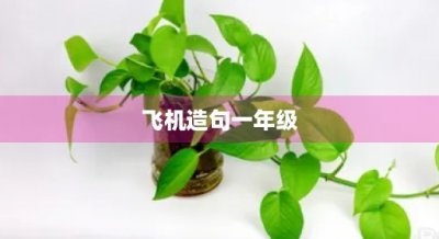 ​飞机造句一年级(飞机造句一年级简单10个字)