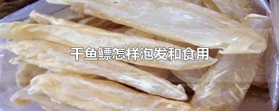 ​干鱼鳔怎样泡发和食用