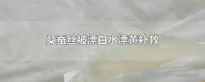 ​桑蚕丝被漂白水漂黄补救