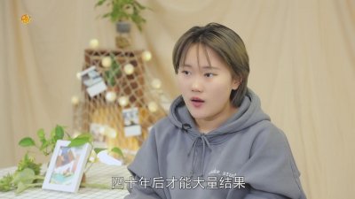 ​银杏水杉为什么是活化石