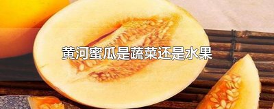 ​黄河蜜瓜是蔬菜还是水果