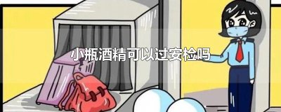 ​小瓶酒精可以过安检吗