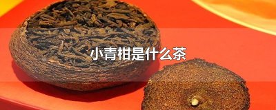 ​小青柑是什么茶