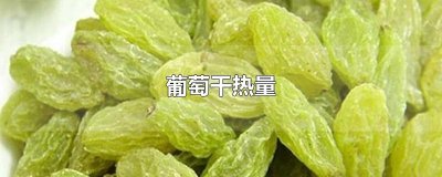 ​葡萄干热量