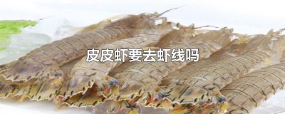 ​皮皮虾要去虾线吗