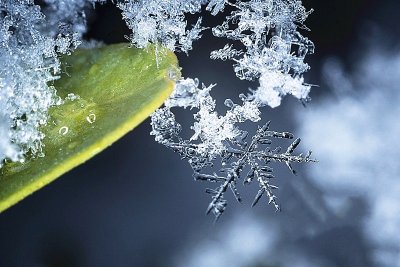 ​大雪节气的风俗食物 大雪节气有何说法