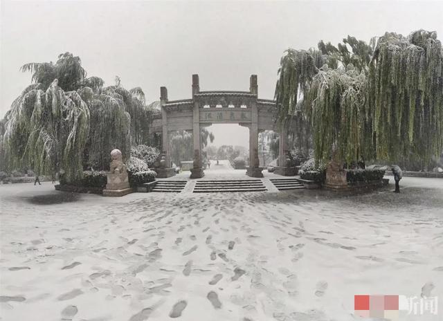 济南下雪是什么样子（山东济南等地下雪场景）(15)