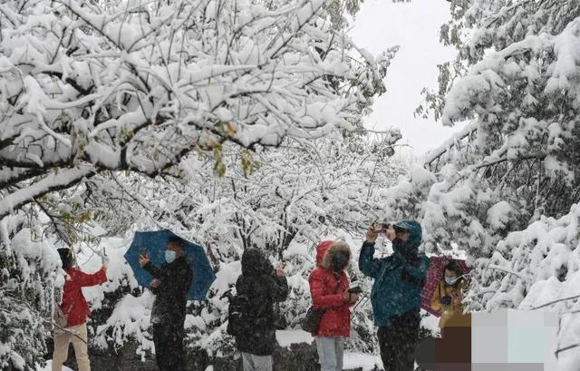 济南下雪是什么样子（山东济南等地下雪场景）(14)