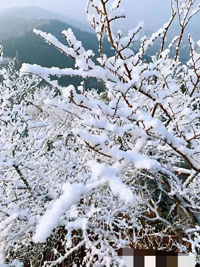 济南下雪是什么样子（山东济南等地下雪场景）(3)