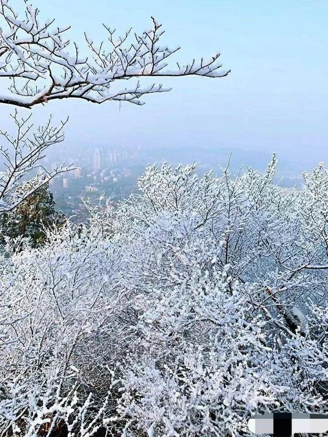 济南下雪是什么样子（山东济南等地下雪场景）(8)