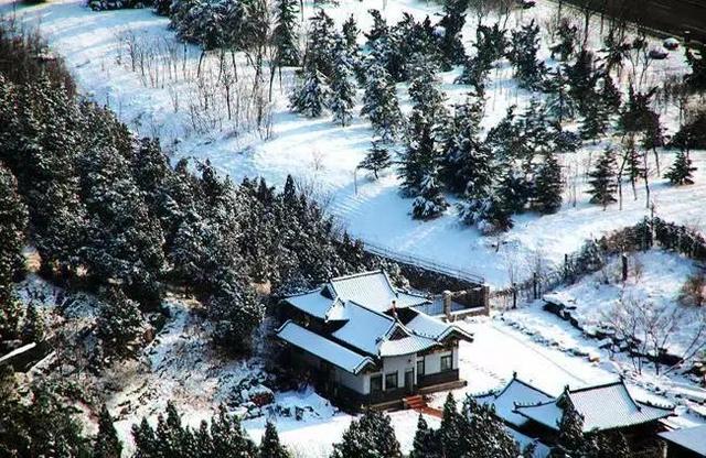 济南下雪是什么样子（山东济南等地下雪场景）(9)