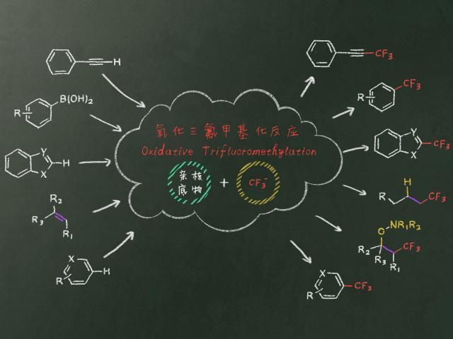 镀层白色铁氟龙是什么工艺（有机化学新探索打开高效）(1)