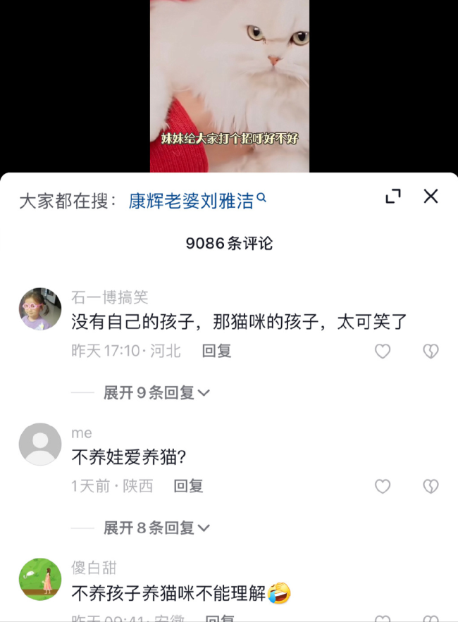 主持人康辉称在猫身上感受到“被需要”