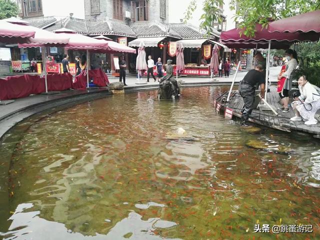 成都郫都三道堰景区（成都市郫都区三道堰古镇之旅）(16)