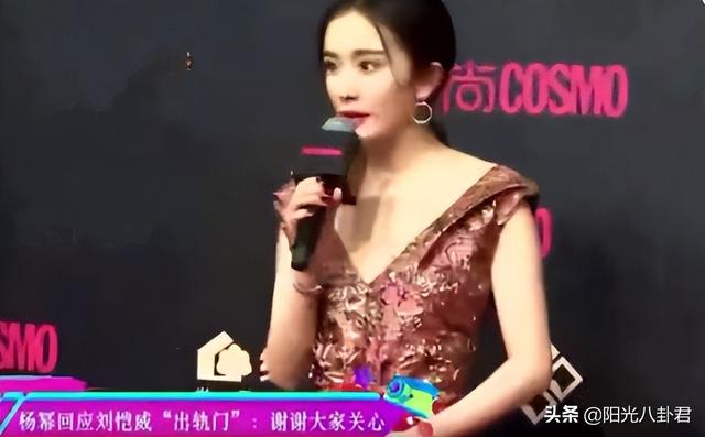 杨幂和刘恺威离婚原因大揭秘（杨幂刘恺威离婚四年啦）(2)