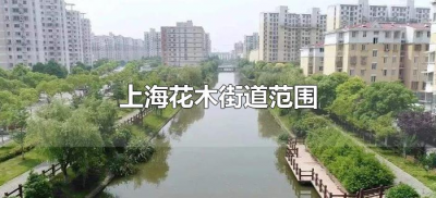 ​上海花木街道范围（上海浦东花木街道范围）