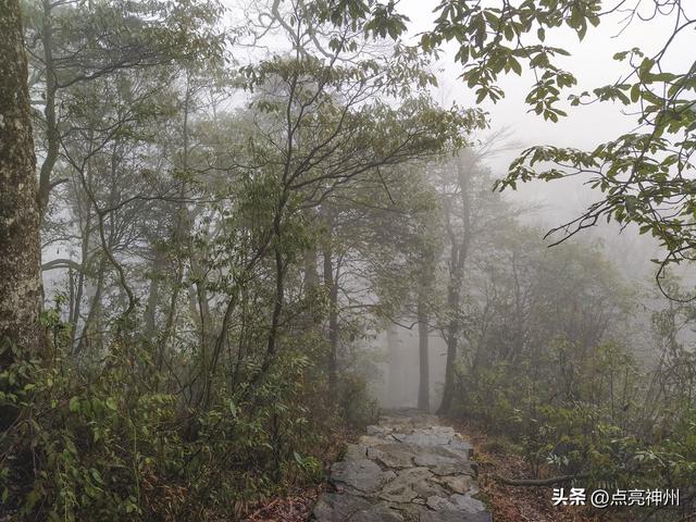 贵州必去的旅游景区排名前十（贵州最值得游的5个AAAAA级景区）(12)