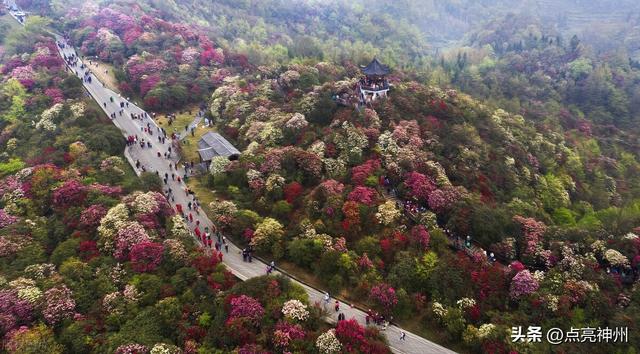 贵州必去的旅游景区排名前十（贵州最值得游的5个AAAAA级景区）(14)