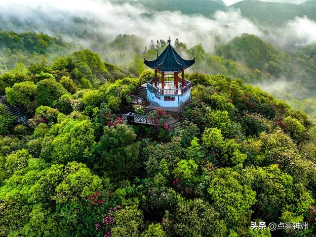 贵州必去的旅游景区排名前十（贵州最值得游的5个AAAAA级景区）(15)