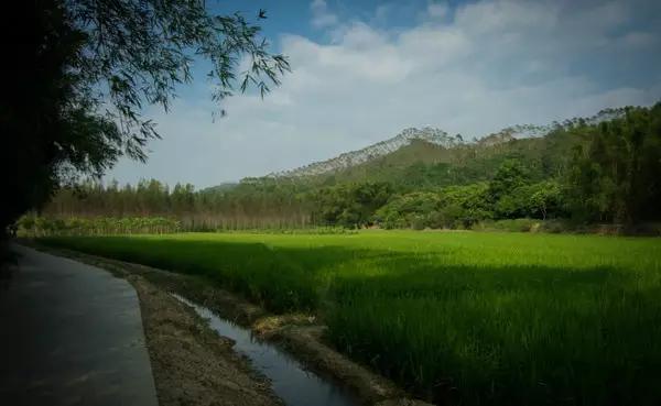 增城湖心岛旅游攻略路线推荐（增城正果湖心岛）(10)