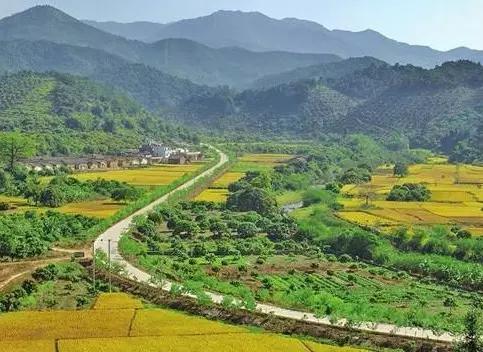 增城湖心岛旅游攻略路线推荐（增城正果湖心岛）(1)