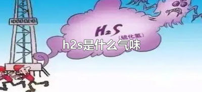 ​h2s是什么气味（h2s的气味是什么）