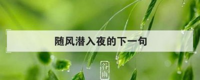 ​随风潜入夜的下一句是什么（诗句随风潜入夜下一句是什么）