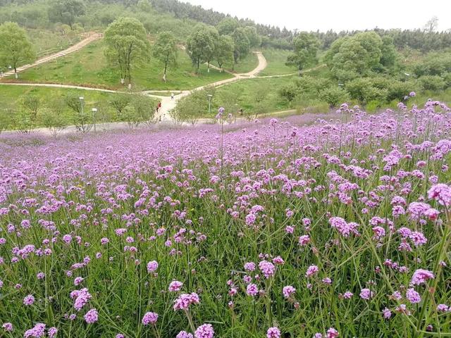 宜春旅游攻略必去景点推荐（宜春这些小众景点）(19)