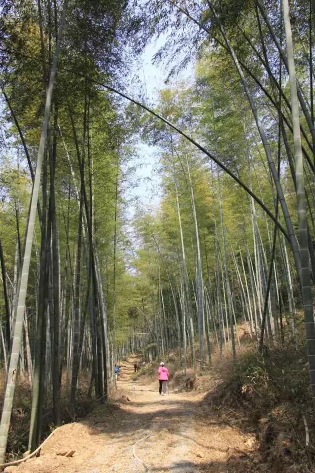 诸暨市有哪些旅游景点值得去（诸暨这15个绝美村落）(20)