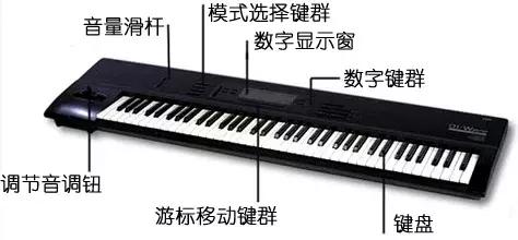 电子琴初学入门教程手把手（电子琴初学者需要知道的小技巧）(1)