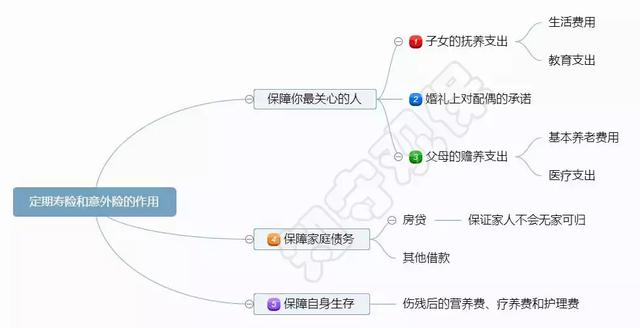 十大定期寿险排名（保额会缩水的定期寿险）(2)