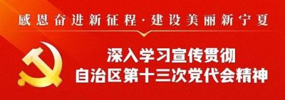 ​闽宁村由昔日的干沙滩变为金沙滩（走进闽宁镇打卡山海情）