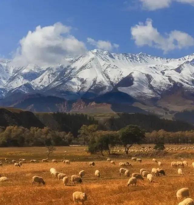 旅游攻略大全最美风景（国内最美的8个美景地）(1)