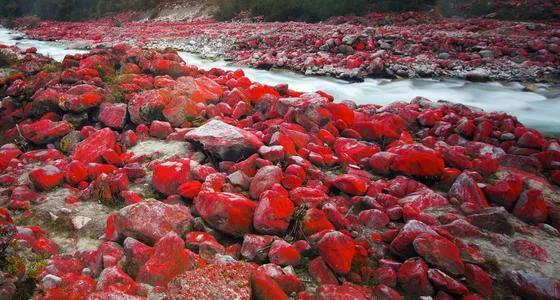 海螺沟的冰川描述（世界著名最低海拔现代冰川）(20)