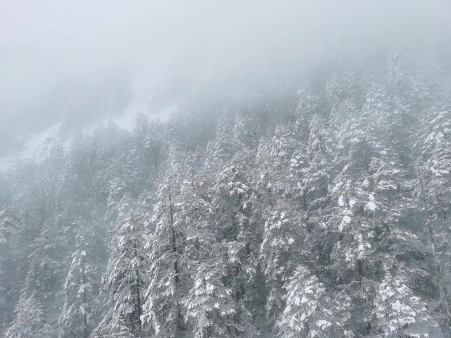 海螺沟的冰川描述（世界著名最低海拔现代冰川）(10)