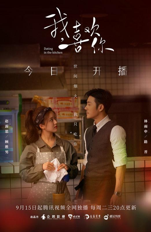 林雨申电视剧，林雨申主演的最新电(林雨申演过的最新电视剧有哪些)