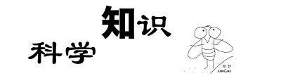 ​霸王项羽真实死因（据传西楚霸王项羽是双瞳孔）