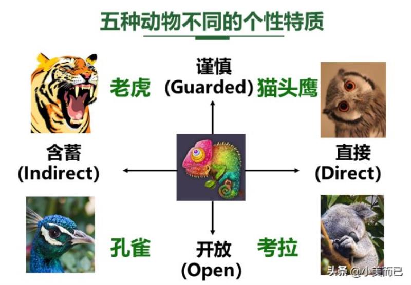 pdp性格测试免费版（超准的PDP性格分析）(5)