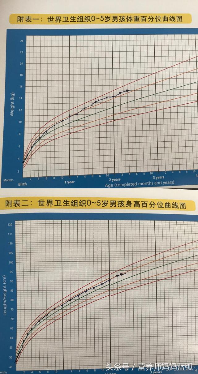 两岁宝宝一周食谱安排表全教程（2岁宝宝一周详细食谱）(1)