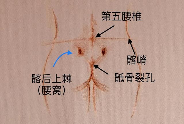 腰窝是每个女生都有的吗（不是你想就会有）(4)