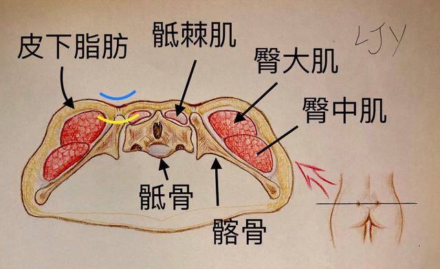 腰窝是每个女生都有的吗（不是你想就会有）(5)