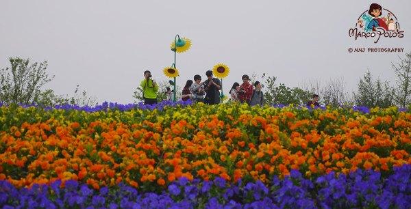 马可波罗游记云南（马可波罗花世界里穿越约起）(25)