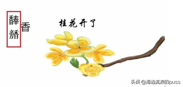 西南官话声调介绍（漫说西南官话里的方言字）(9)