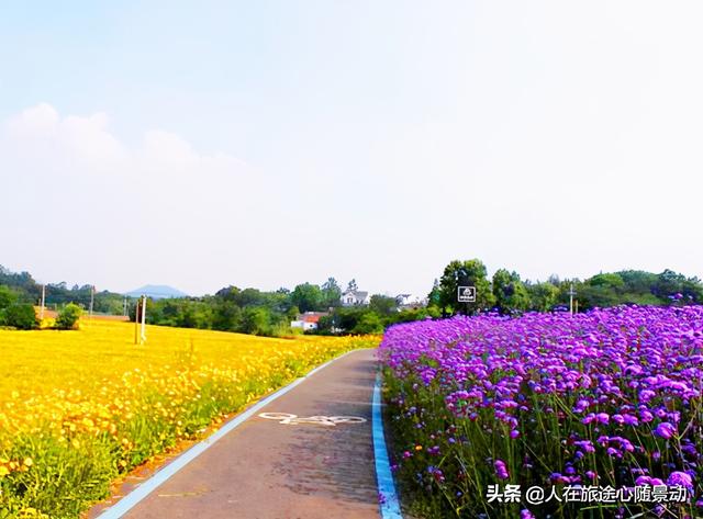 南京江宁十大景点推荐（南京江宁70个旅游景点欢迎您）(1)