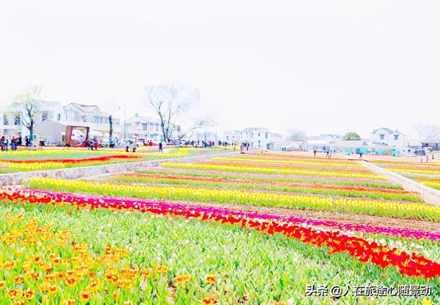 南京江宁十大景点推荐（南京江宁70个旅游景点欢迎您）(11)