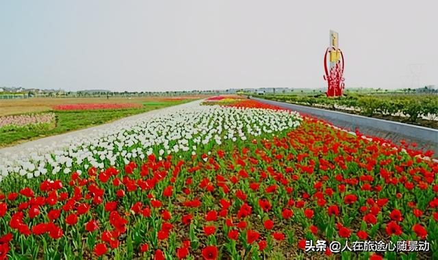 南京江宁十大景点推荐（南京江宁70个旅游景点欢迎您）(8)