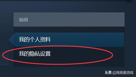 steam夏促活动什么时候开始（steam夏促活动终极指南）(7)